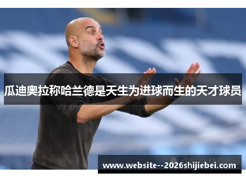 瓜迪奥拉称哈兰德是天生为进球而生的天才球员